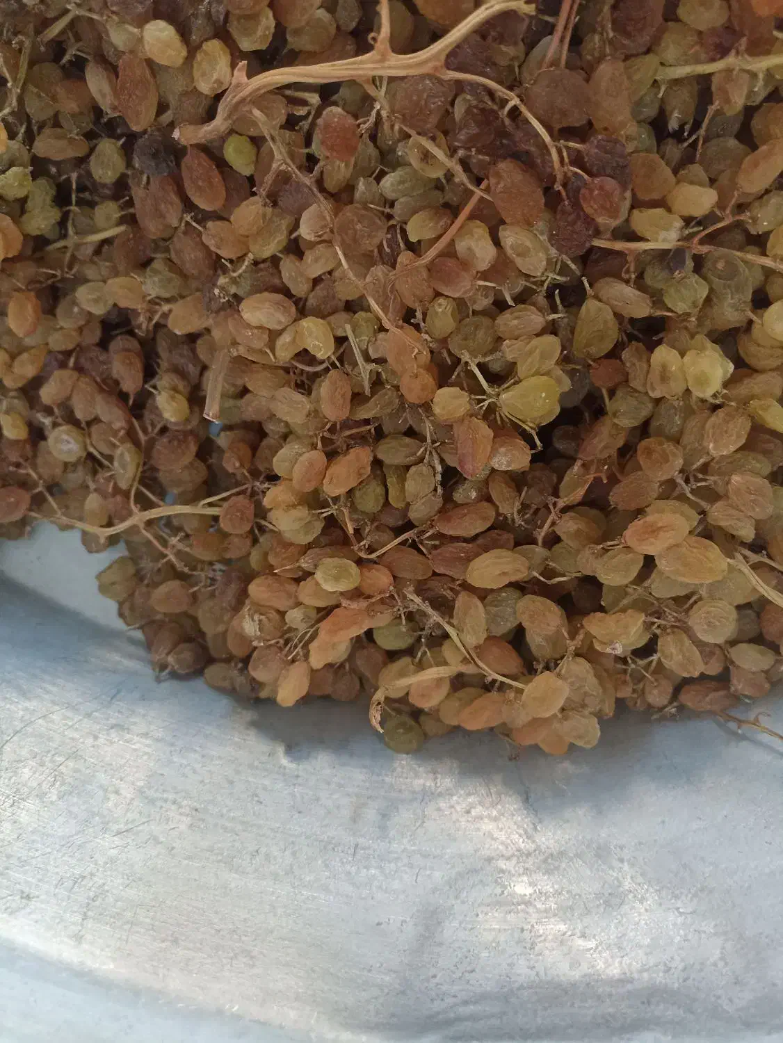 کشمش|خوردنی و آشامیدنی|قوچان, |دیوار