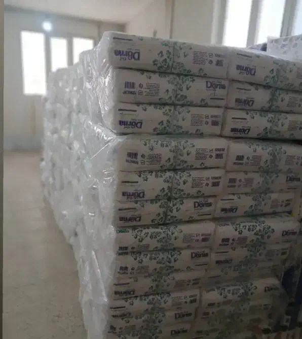 دستمال کاغذی اقتصادی|مواد شوینده و دستمال کاغذی|شهریار, رامین|دیوار