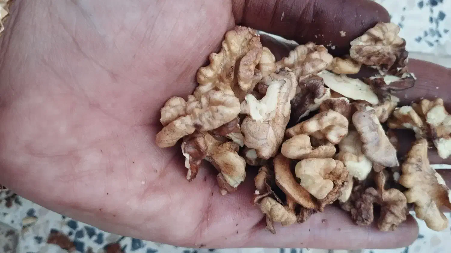 گردو محلی معاوضه با برنج|خوردنی و آشامیدنی|نورآباد ممسنی, |دیوار
