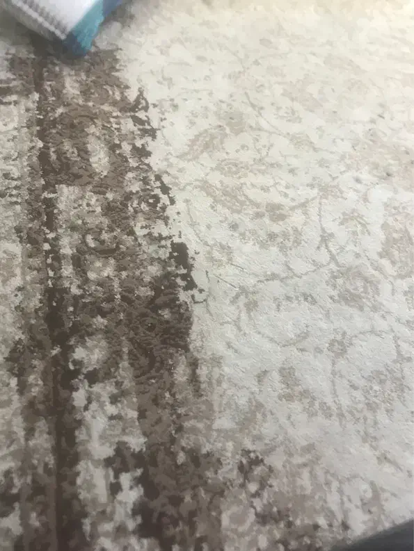 فرش|فرش|بهبهان, |دیوار