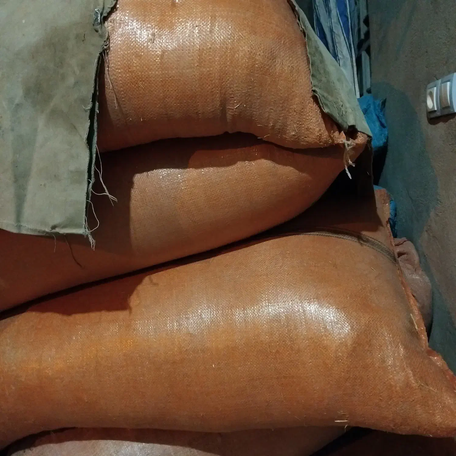 علوفه دام|حیوانات مزرعه|سرفاریاب, |دیوار