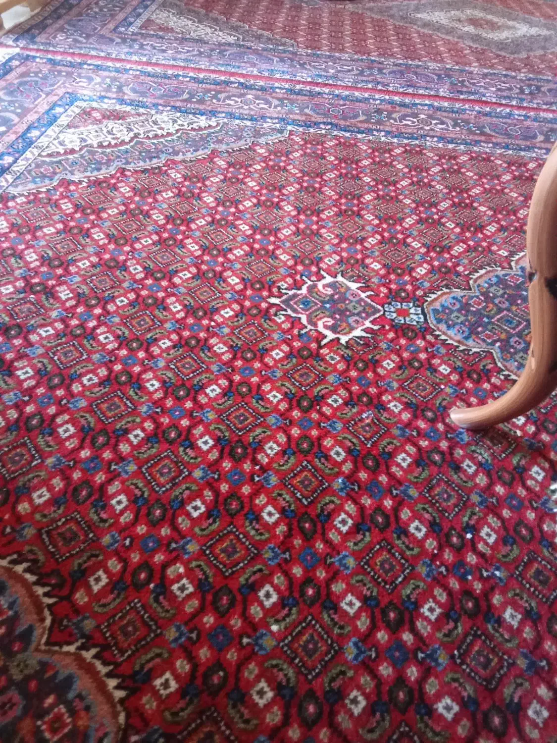 یک جفت فرش دست بافت|فرش|دماوند, دماوند|دیوار