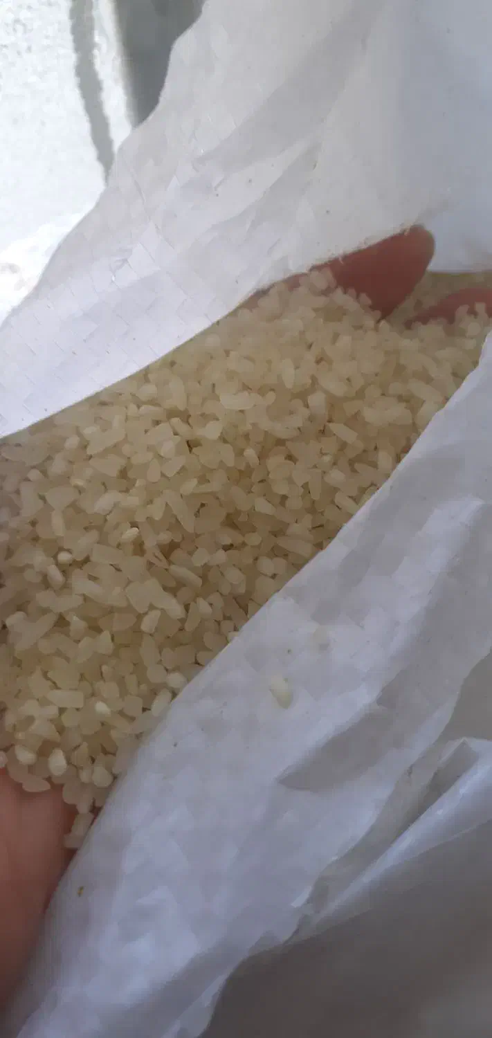 خرده درشت|خوردنی و آشامیدنی|مرودشت, فاز دوم شهرک فرهنگیان|دیوار