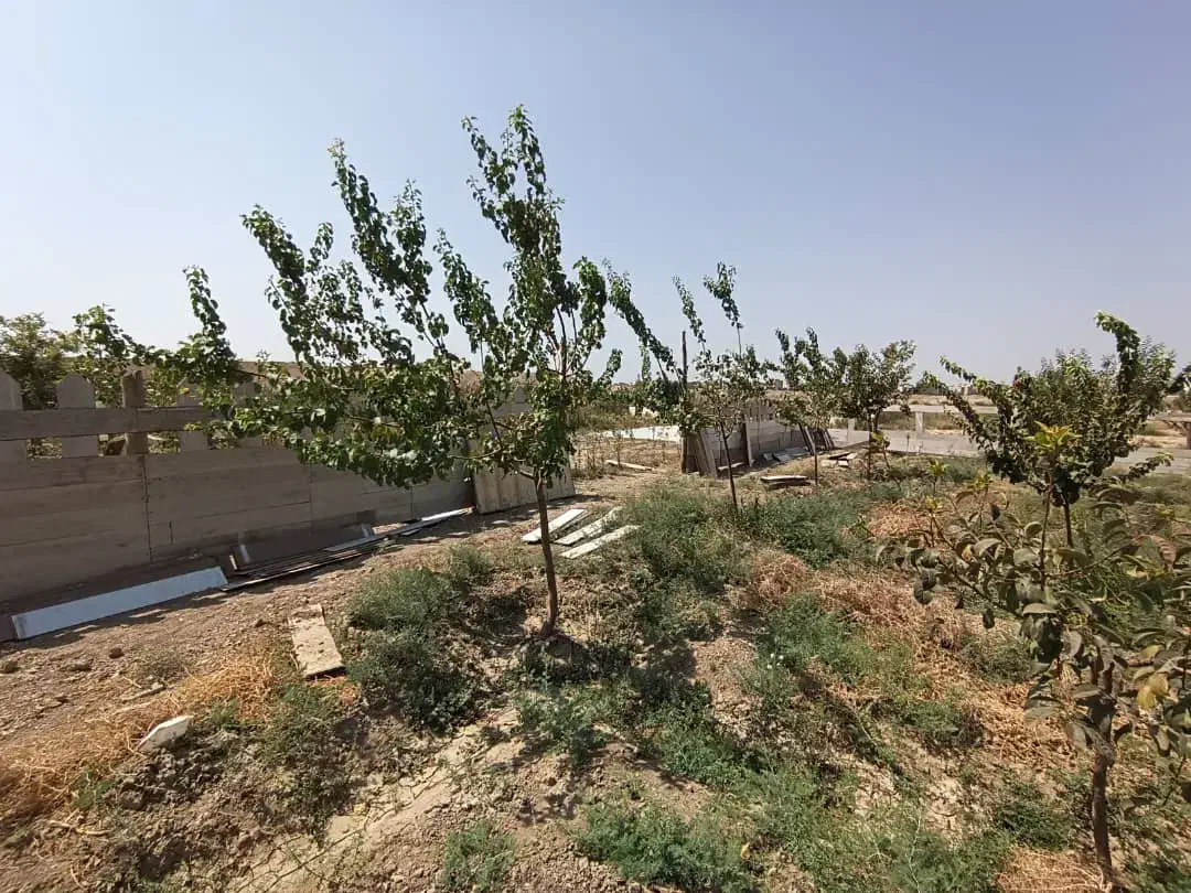 قطعات زمین وباغچه ۴۰۸متری اسلامشهر  چیچکلو|فروش دفتر صنعتی، کشاورزی، تجاری|اسلام‌شهر, شهرک صنعتی چیچکلو|دیوار