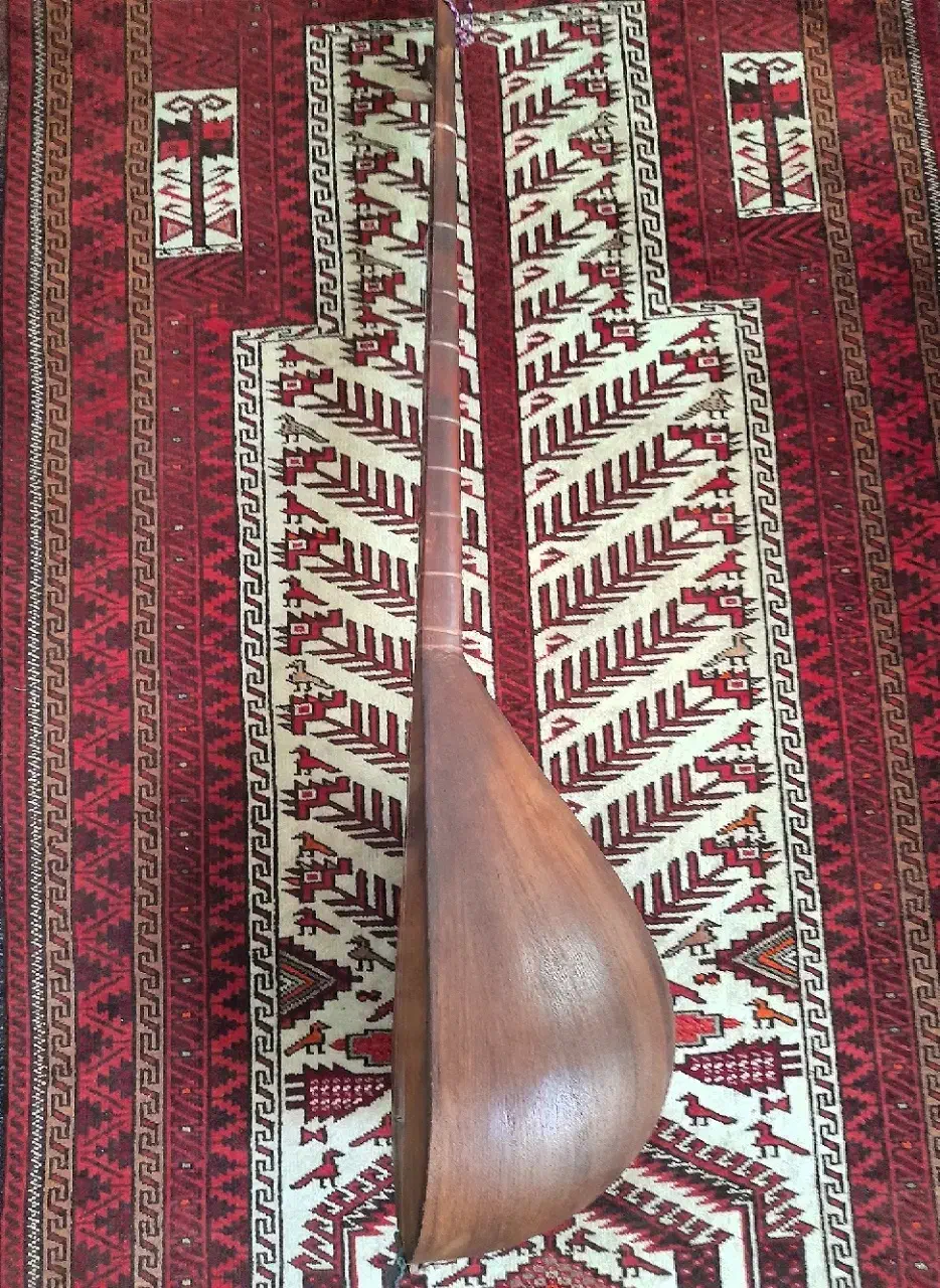 دوتار کاسه بزرگ|سازهای سنتی|تربت جام, جامی|دیوار