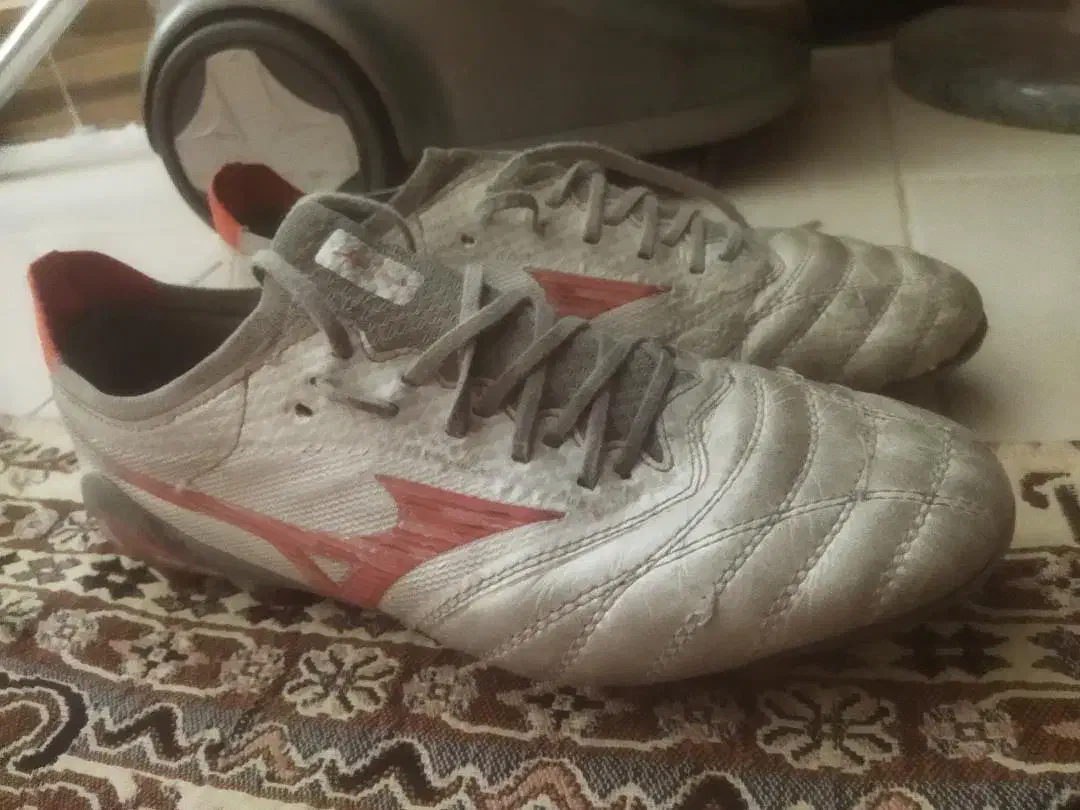 کفش چمن|کیف، کفش، کمربند|بجنورد, |دیوار