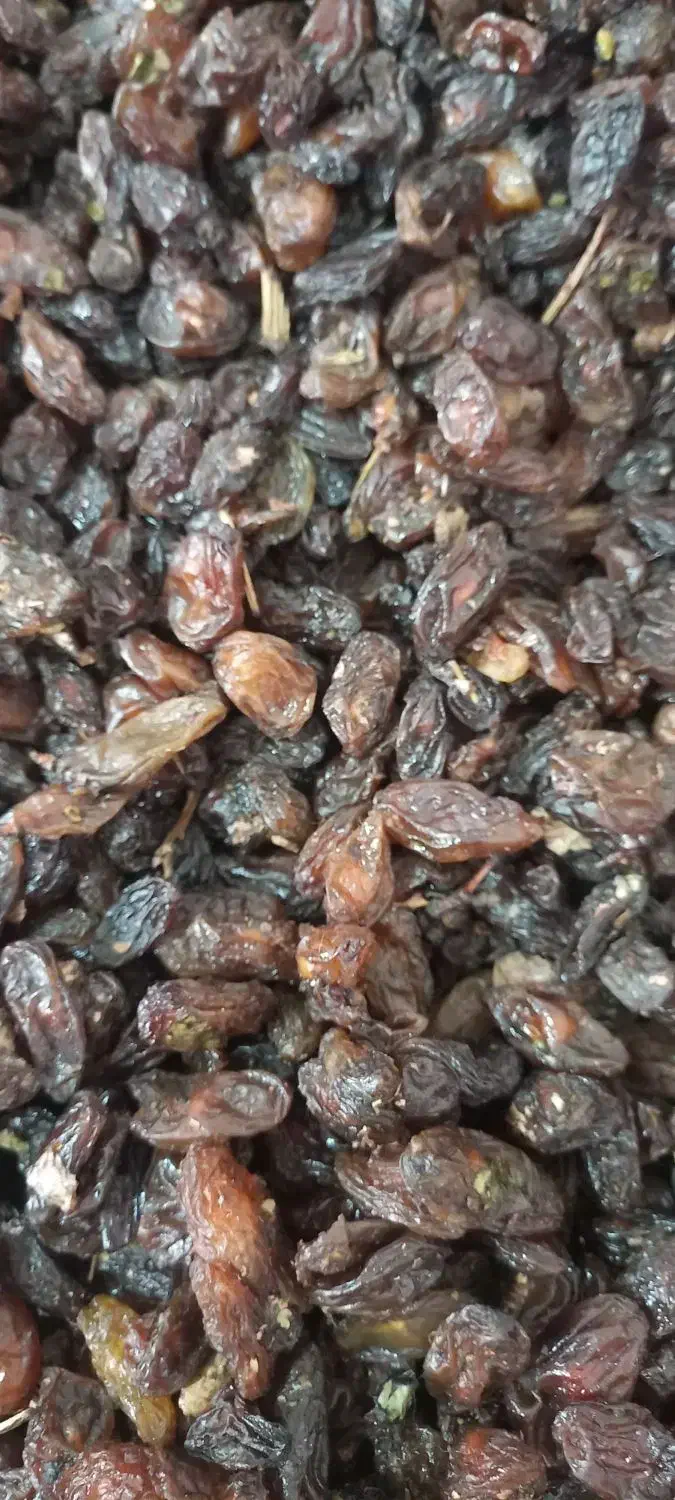 عسگری کشمش|خوردنی و آشامیدنی|ماکو, |دیوار