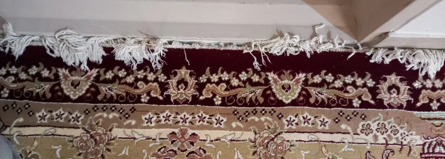 فرش ۹ متری|فرش|ساوه, |دیوار