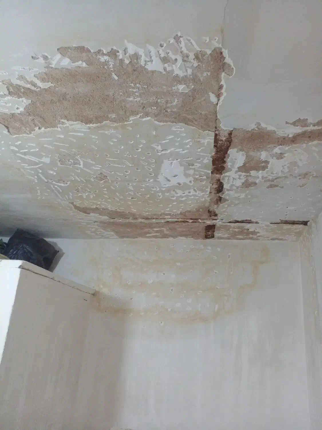 گچکاری|خدمات پیشه و مهارت|اصفهان, برازنده|دیوار