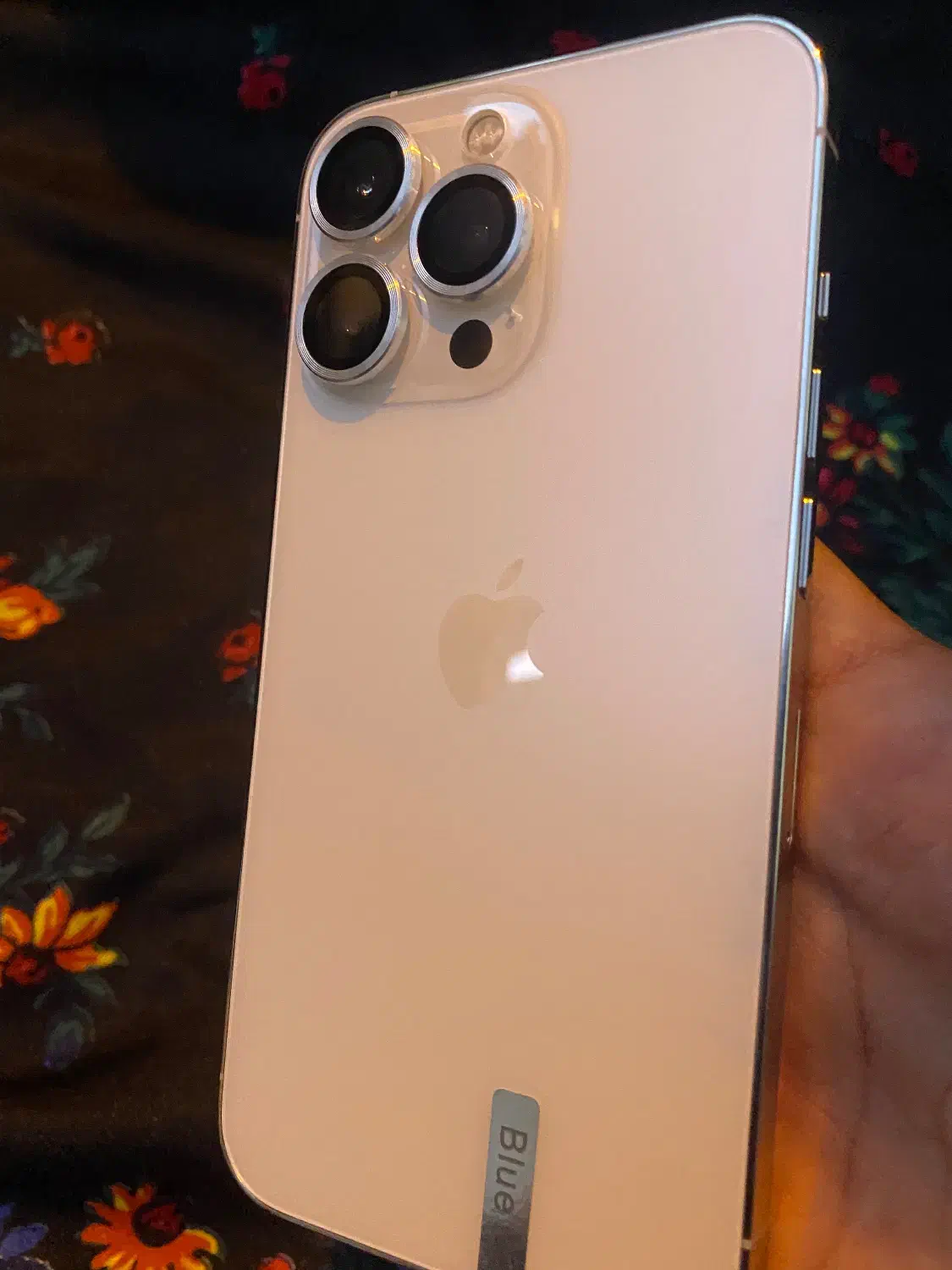 آیفون 13 پرو|موبایل|جوانرود, |دیوار