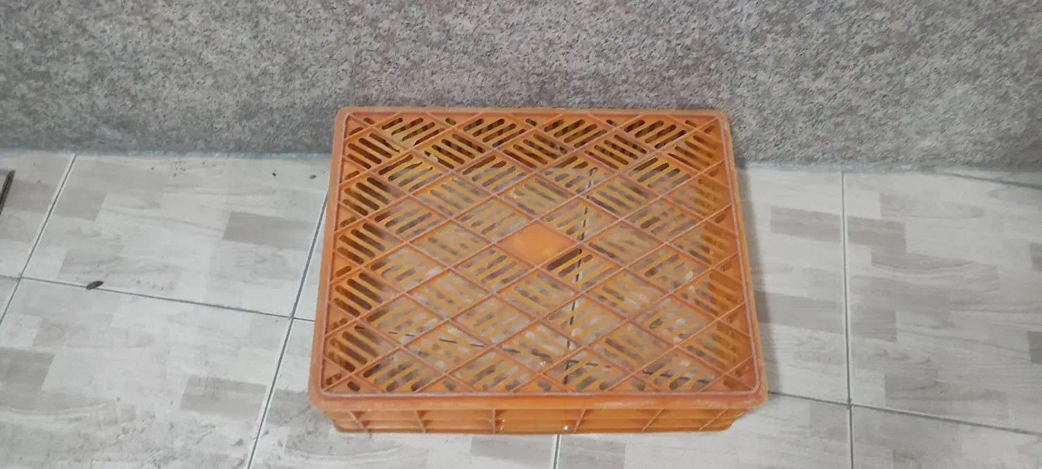 سبد ماستی سالم|ظروف نگهدارنده، پلاستیکی، یک‌بارمصرف|کازرون, |دیوار