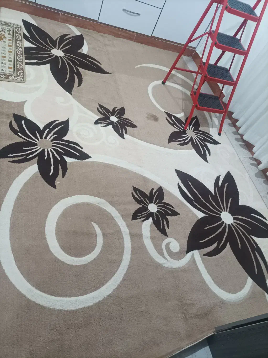 فرش ۶ متری فانتزی|فرش|رشت, دروازه لاکان|دیوار