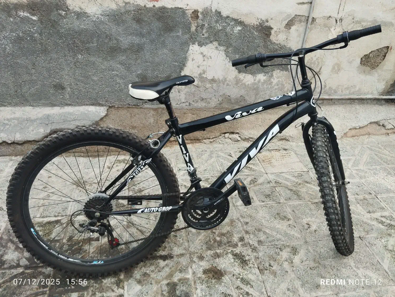 دوچرخه ویوا ۲۶|دوچرخه، اسکیت، اسکوتر|شهریار, شهرک امیریه|دیوار