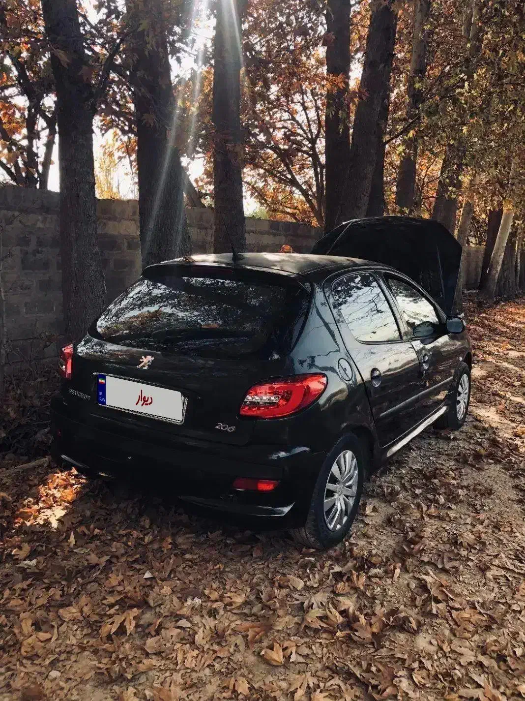 206 تیپ دو کارمندی کم مصرف|خودرو سواری و وانت|صدرا-فارس, فاز ۲|دیوار