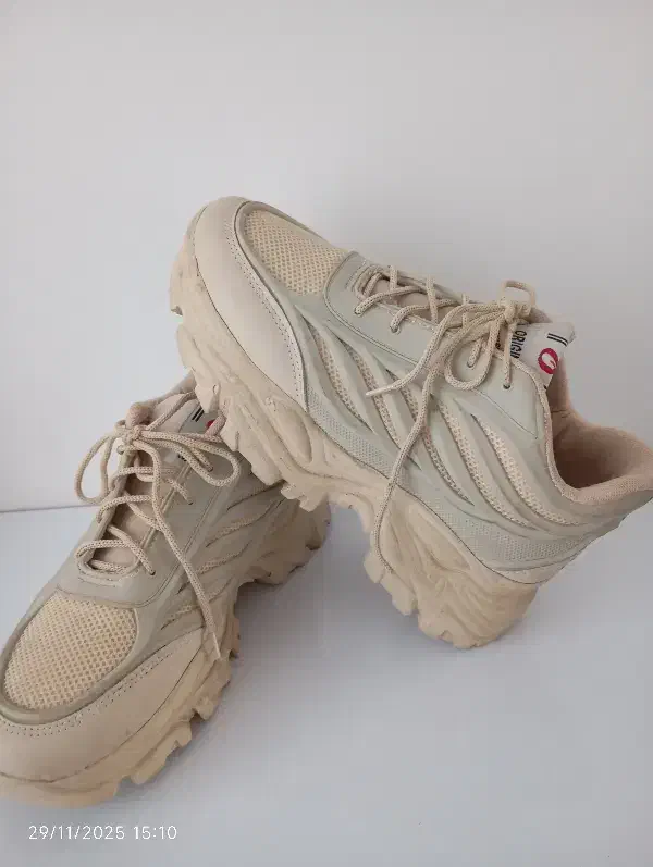 کفش نو|کیف، کفش، کمربند|تربت‌حیدریه, مظفریه|دیوار