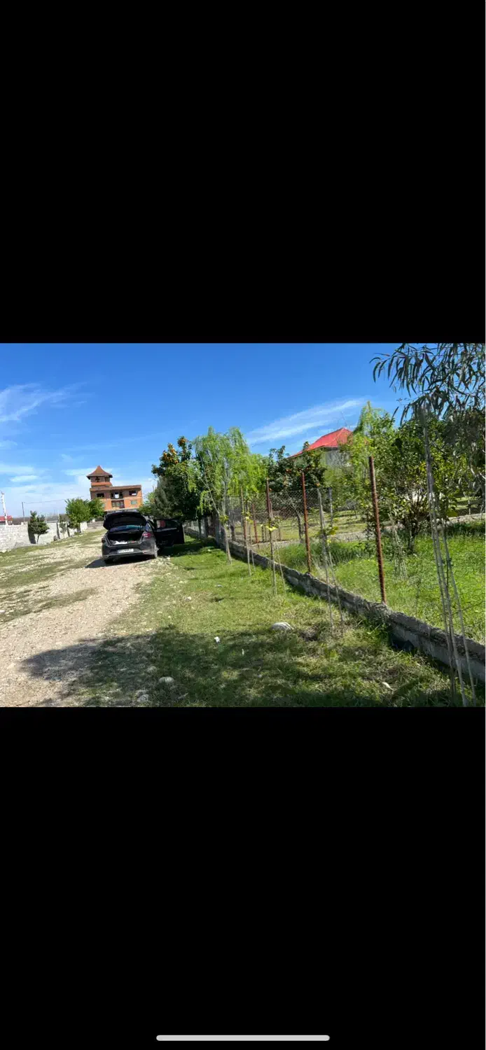 زمین تجاری و گلخانه ای در کوچه ۱۶ متری|فروش زمین و ملک کلنگی|گلوگاه بابل (گلیا), |دیوار