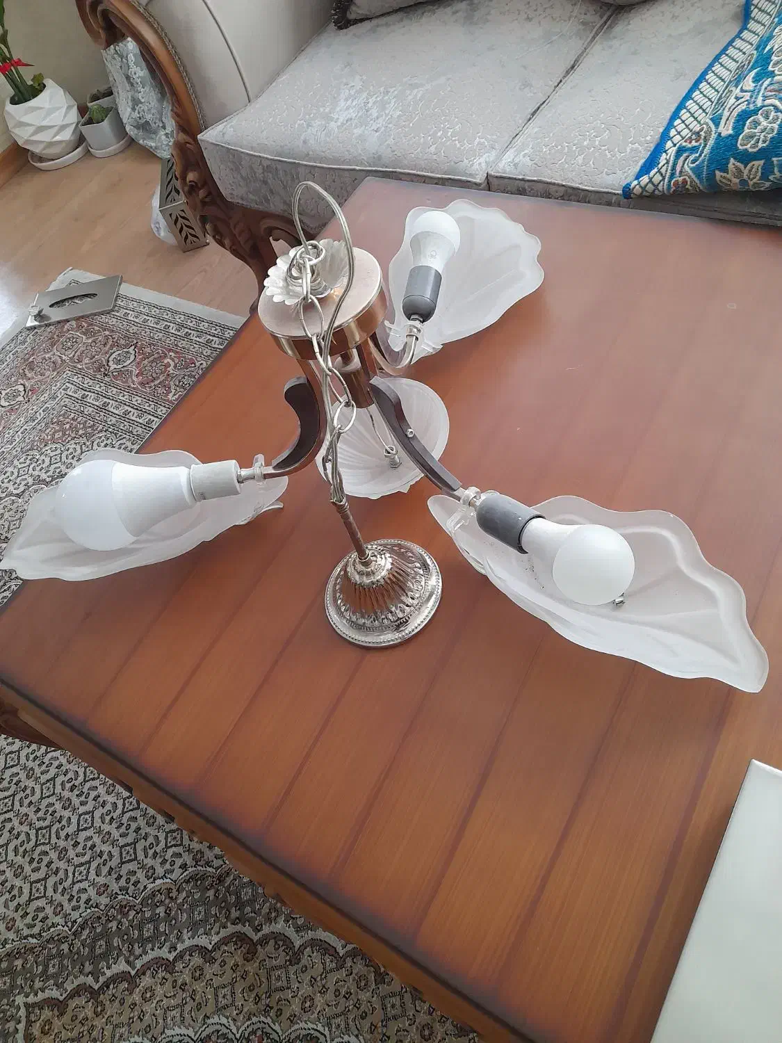 لوستر|لوستر و چراغ آویز|اردبیل, |دیوار