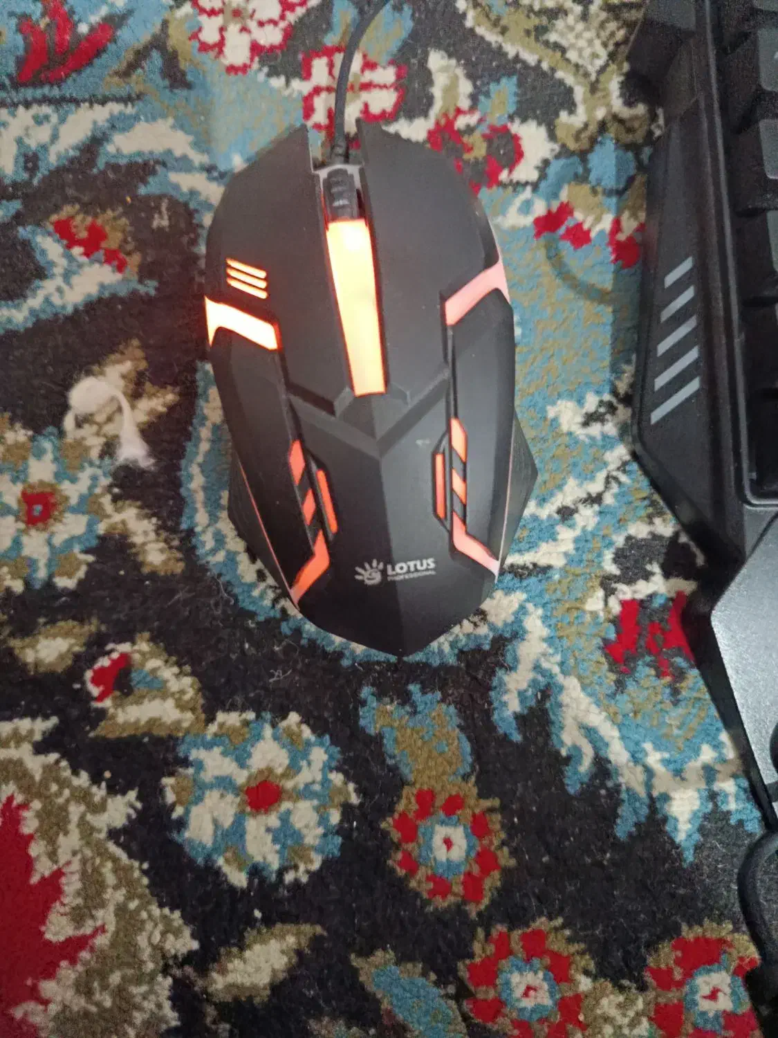 موس و کیبورد|قطعات و لوازم جانبی رایانه|کردکوی, |دیوار