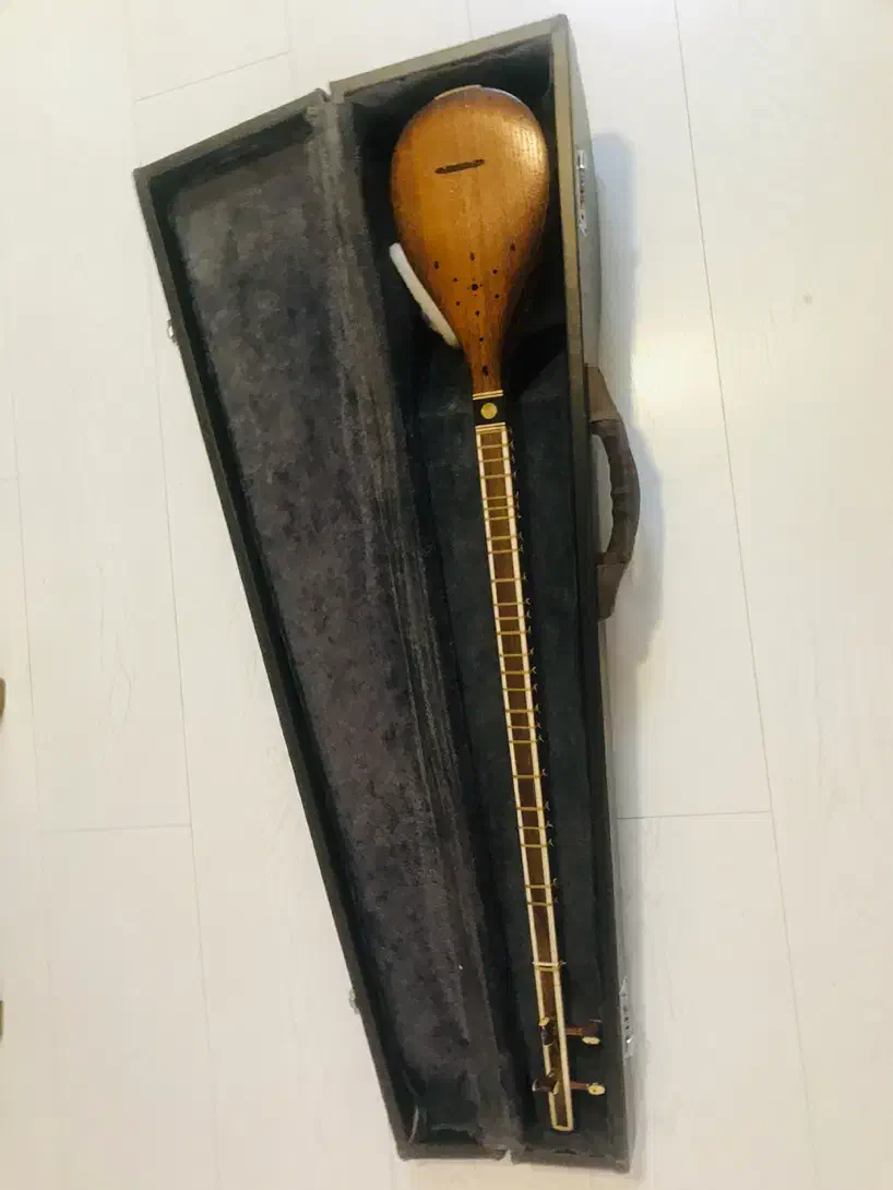 ستار کلکسیونی و کادویی|سازهای سنتی|شیراز, فرهنگ شهر|دیوار