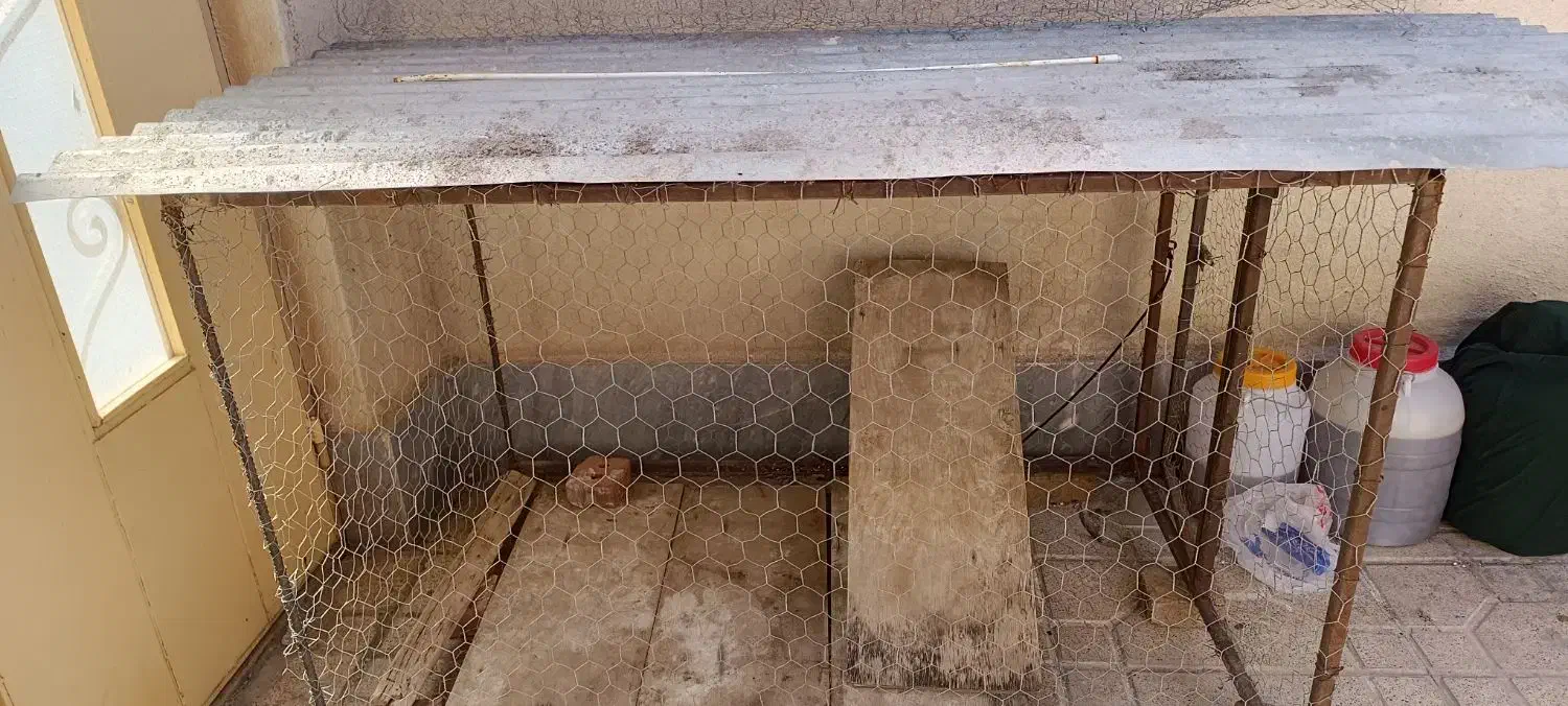 قفس|لوازم جانبی حیوانات|ماکو, |دیوار