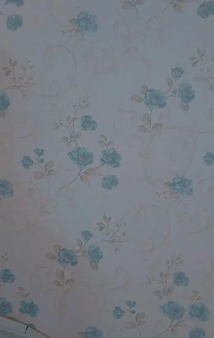 یک رول کاغذ دیواری|تابلو، نقاشی، عکس|قم, آلوچو|دیوار