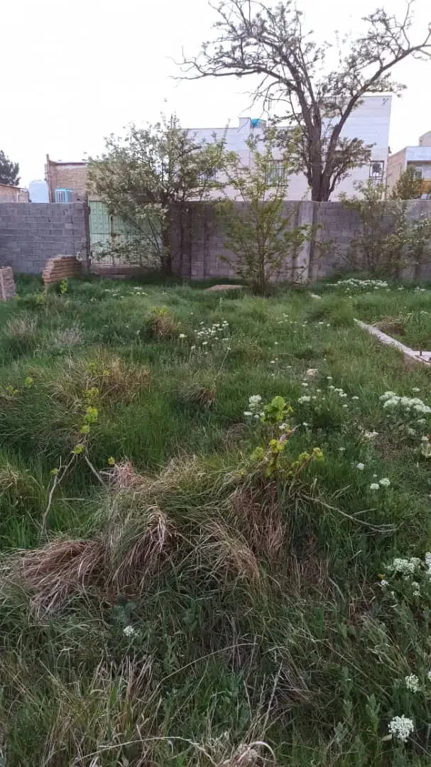 زمین در ینگی امام|فروش زمین و ملک کلنگی|هشتگرد, ینگی امام|دیوار