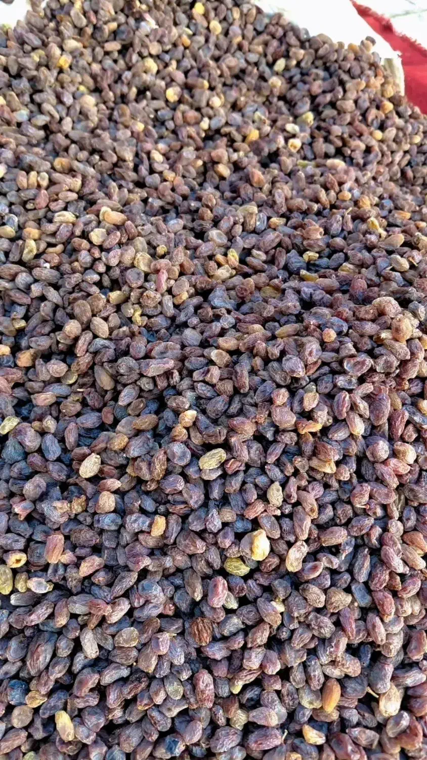 کشمش آفتابی تمیز شده درجه یک|خوردنی و آشامیدنی|بوانات, |دیوار