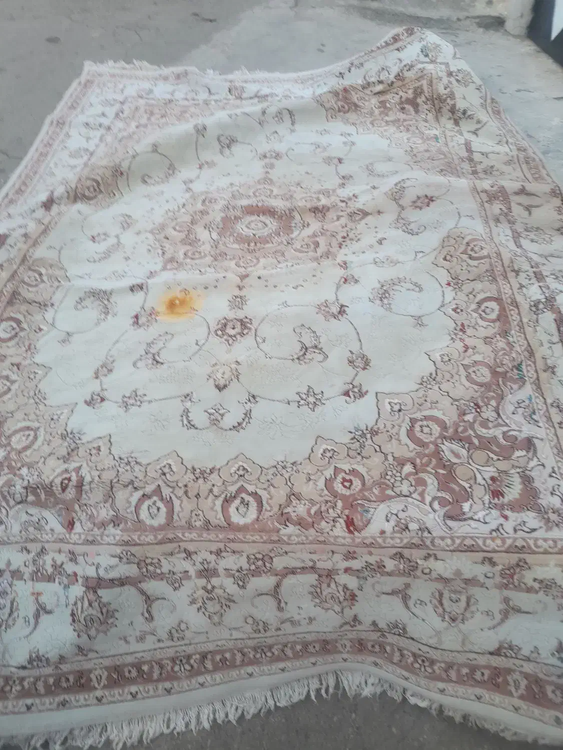 فرش ۹ متری|فرش|کنگاور, |دیوار