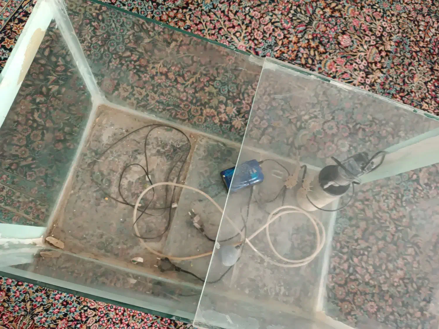 آکواریوم با وسیله|ماهی|رفسنجان, |دیوار