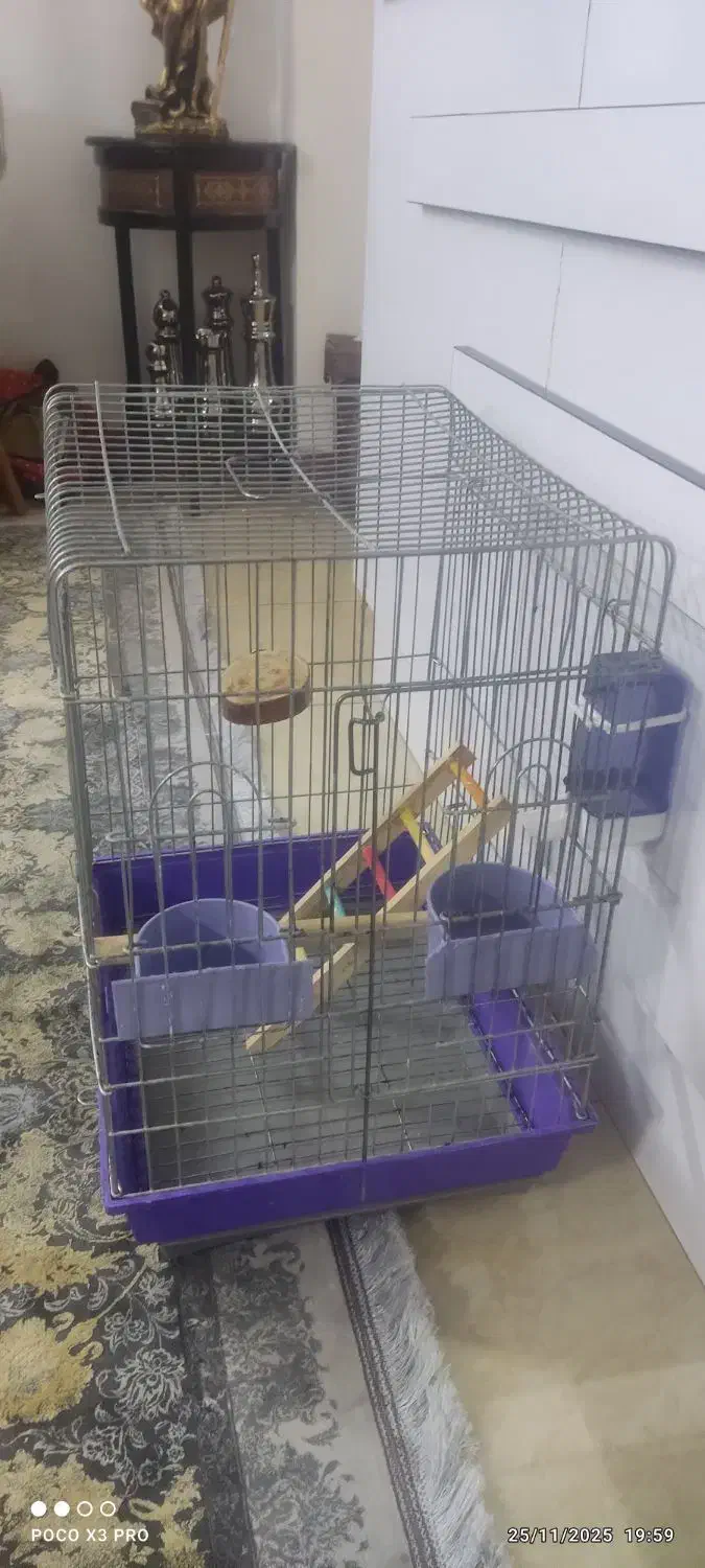 قفس پرنده|لوازم جانبی حیوانات|پاکدشت, شهرک امام رضا|دیوار