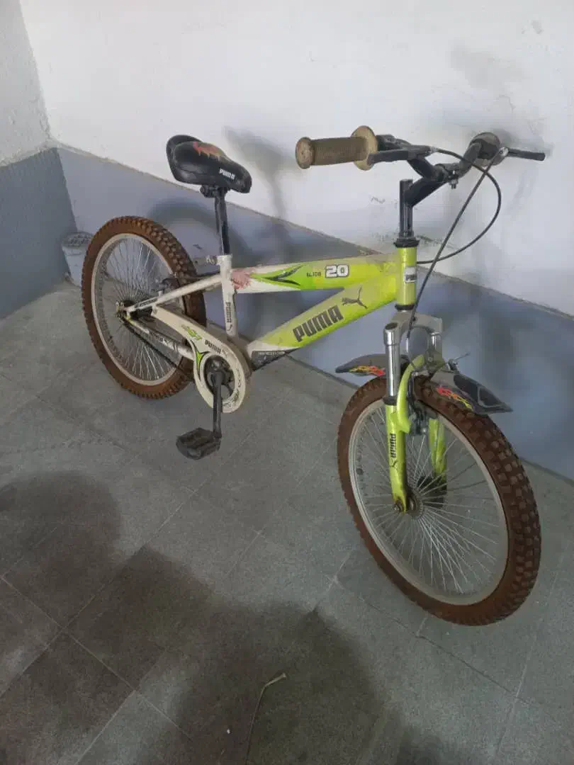 فروش دوچرخه|دوچرخه، اسکیت، اسکوتر|شیراز, شهرک قمشه|دیوار