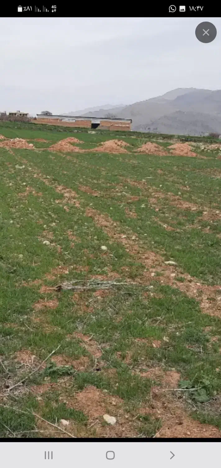 ۲۰۰مترزمین مسکونی کلواری علیا|فروش زمین و ملک کلنگی|فلارد, |دیوار