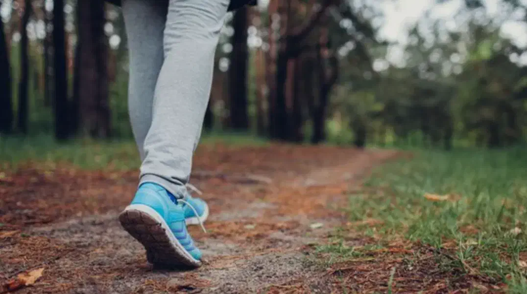 درکه|فعالیت داوطلبانه|تهران, تجریش|دیوار