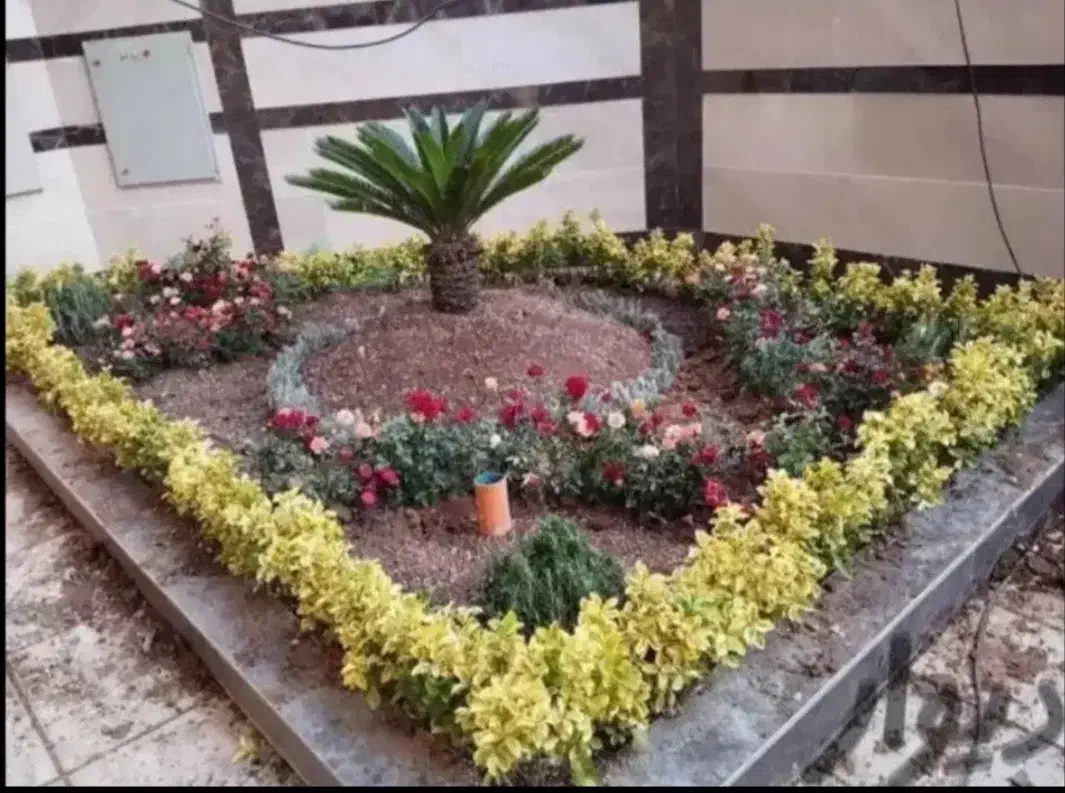 خدمات باغبانی درخت کاری باغچه کاری تعویض خاک گلدون|خدمات باغبانی و درختکاری|تهران, ستارخان|دیوار