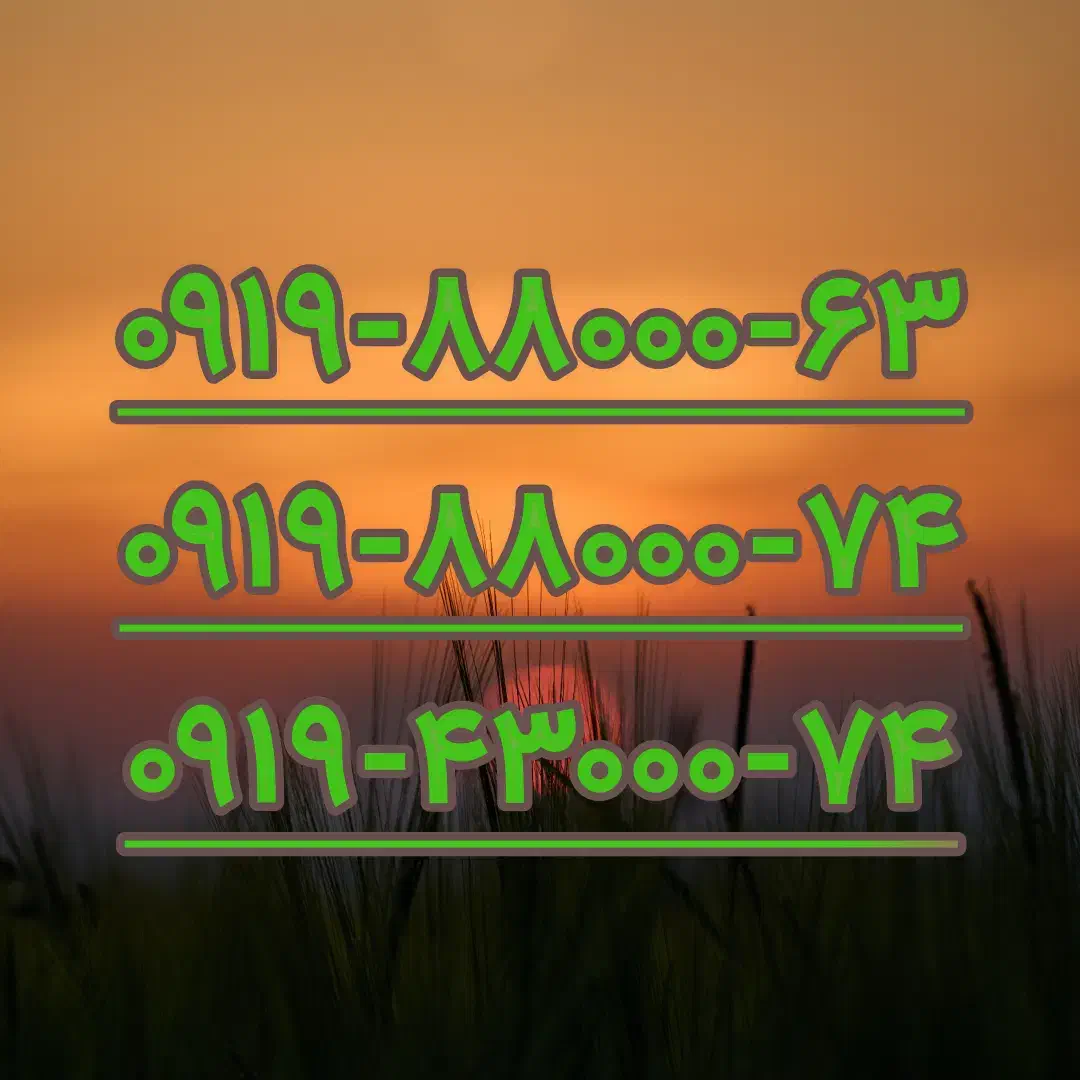 ۰۹۱۹۸۸۰۰۰|سیمکارت|اصفهان, تخت فولاد|دیوار