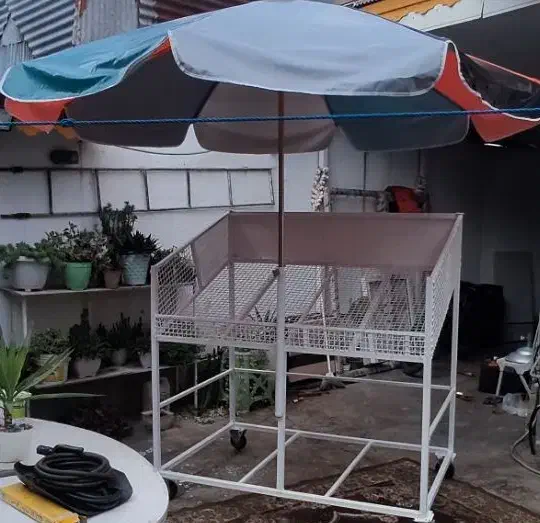 گاری|فروشگاه و مغازه|رشت, پیرکلاچای|دیوار