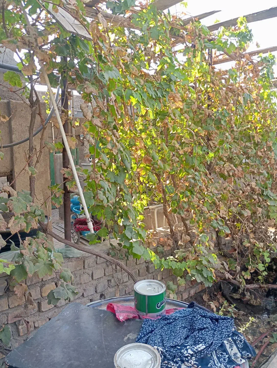 خانه باغ جاده کاشان|فروش خانه و ویلا|قنوات, |دیوار