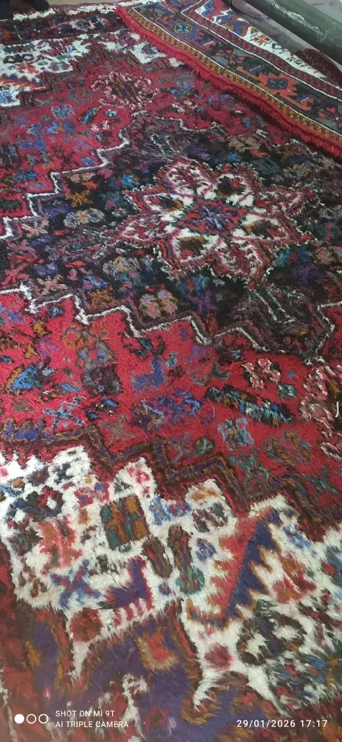 فرش دستباف ۲ عدد|فرش|بستان آباد, |دیوار