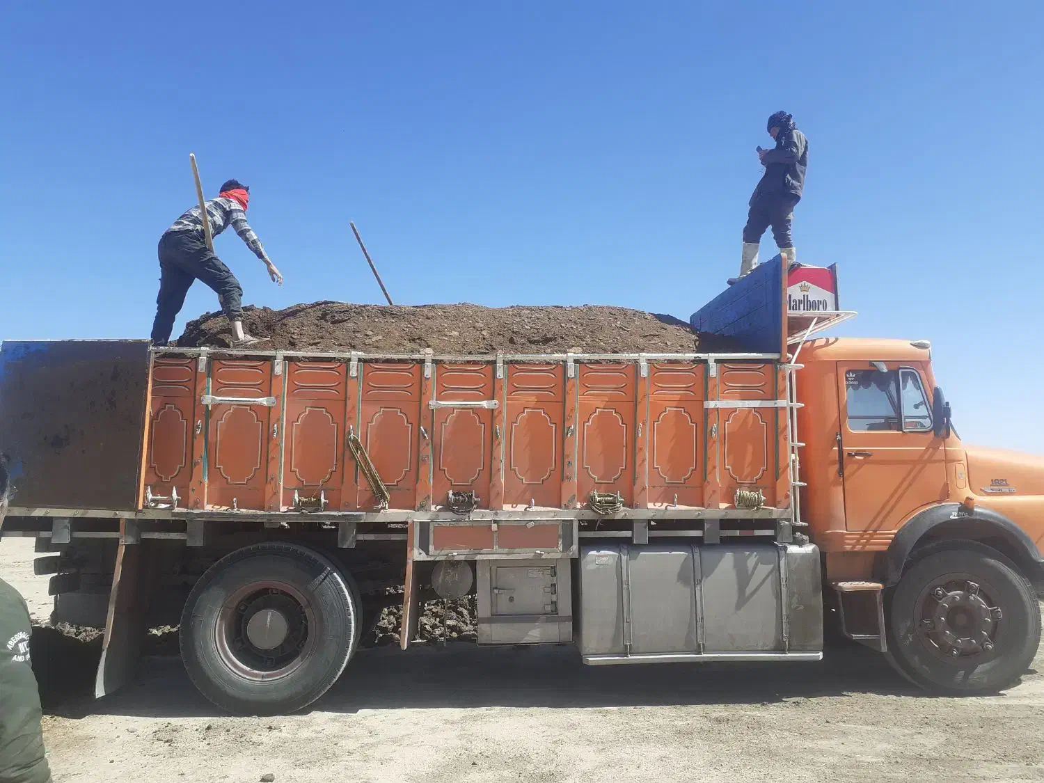 کود حیوانی تمیز و درجه یک|خدمات باغبانی و درختکاری|زرآباد, |دیوار