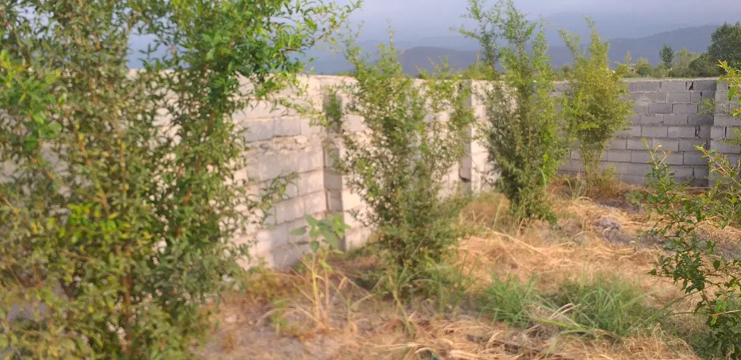 فروش باغ روستای زیبا وسرسبز والش آباد|فروش زمین و ملک کلنگی|گرگان, |دیوار