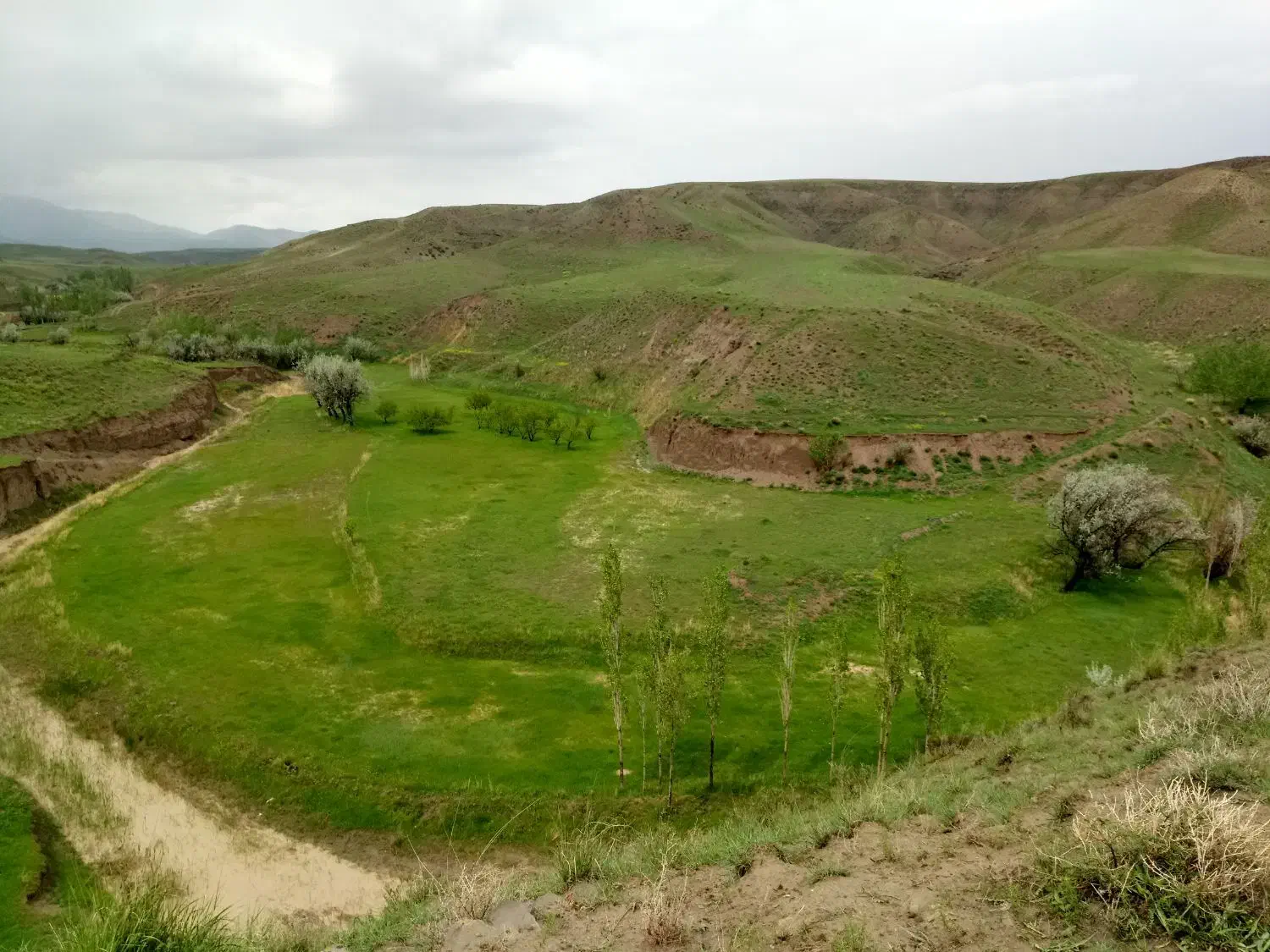 فروش زمین کشاورزی 50000 متر|فروش دفتر صنعتی، کشاورزی، تجاری|خواجه, |دیوار