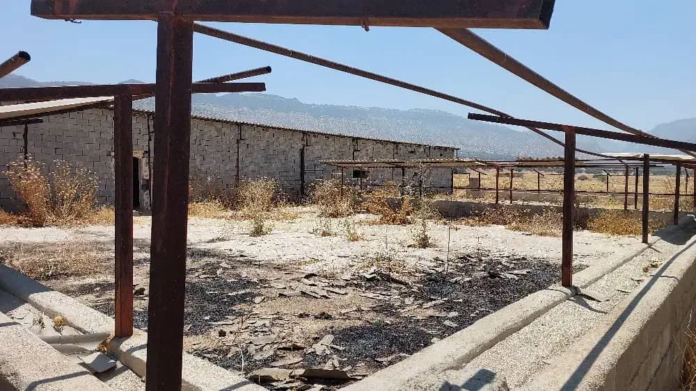 فروش یک واحد گاوداری به قیمت زمین کشاورزی|فروش دفتر صنعتی، کشاورزی، تجاری|نورآباد ممسنی, |دیوار