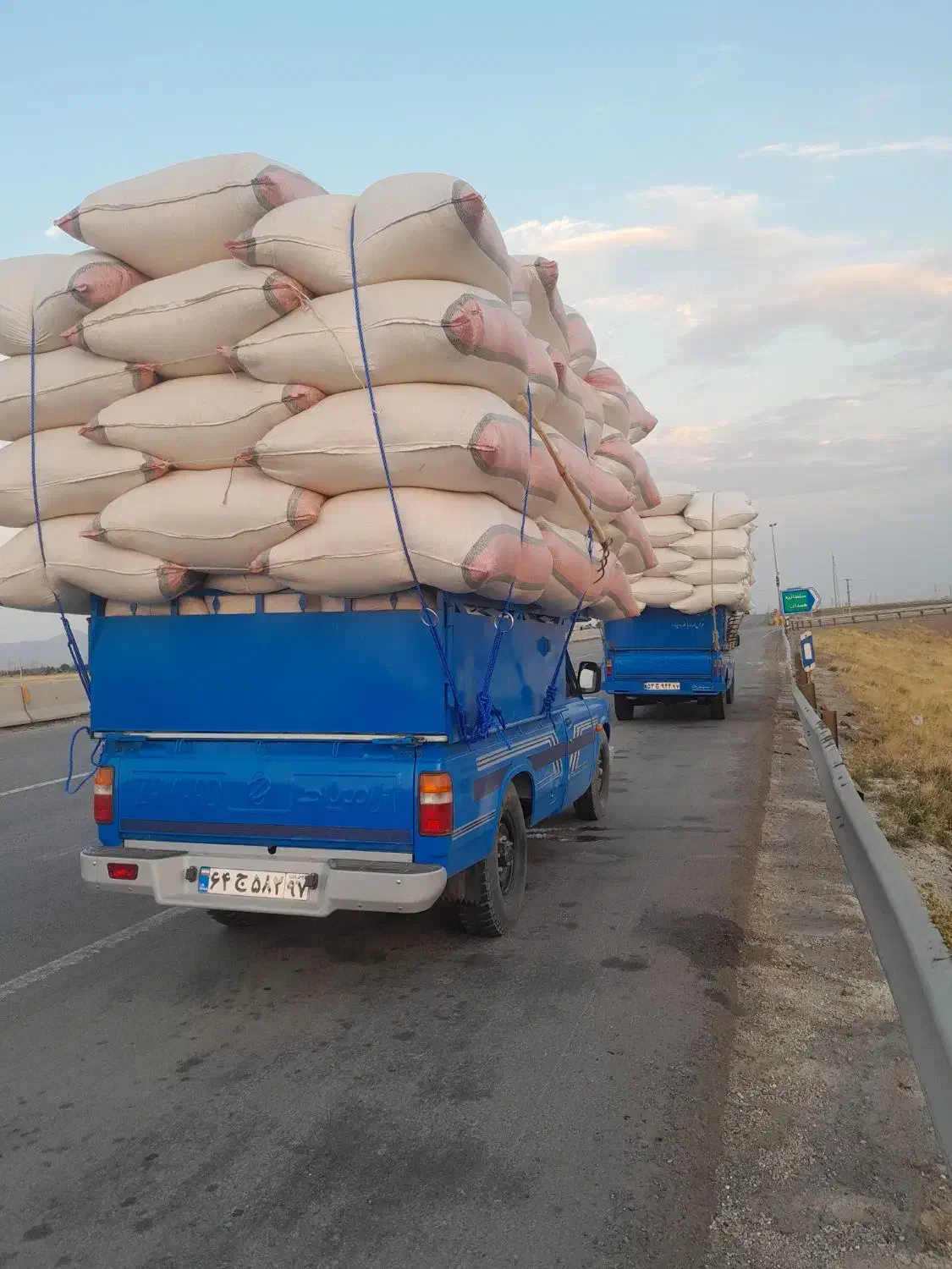 کاه گندم و سیلو|عمدهفروشی|رامسر, |دیوار