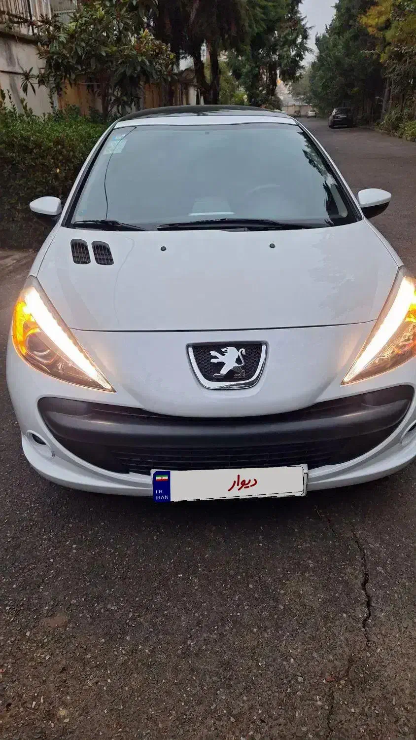 207 سقف پانا دنده|خودرو سواری و وانت|رشت, دباغیان|دیوار