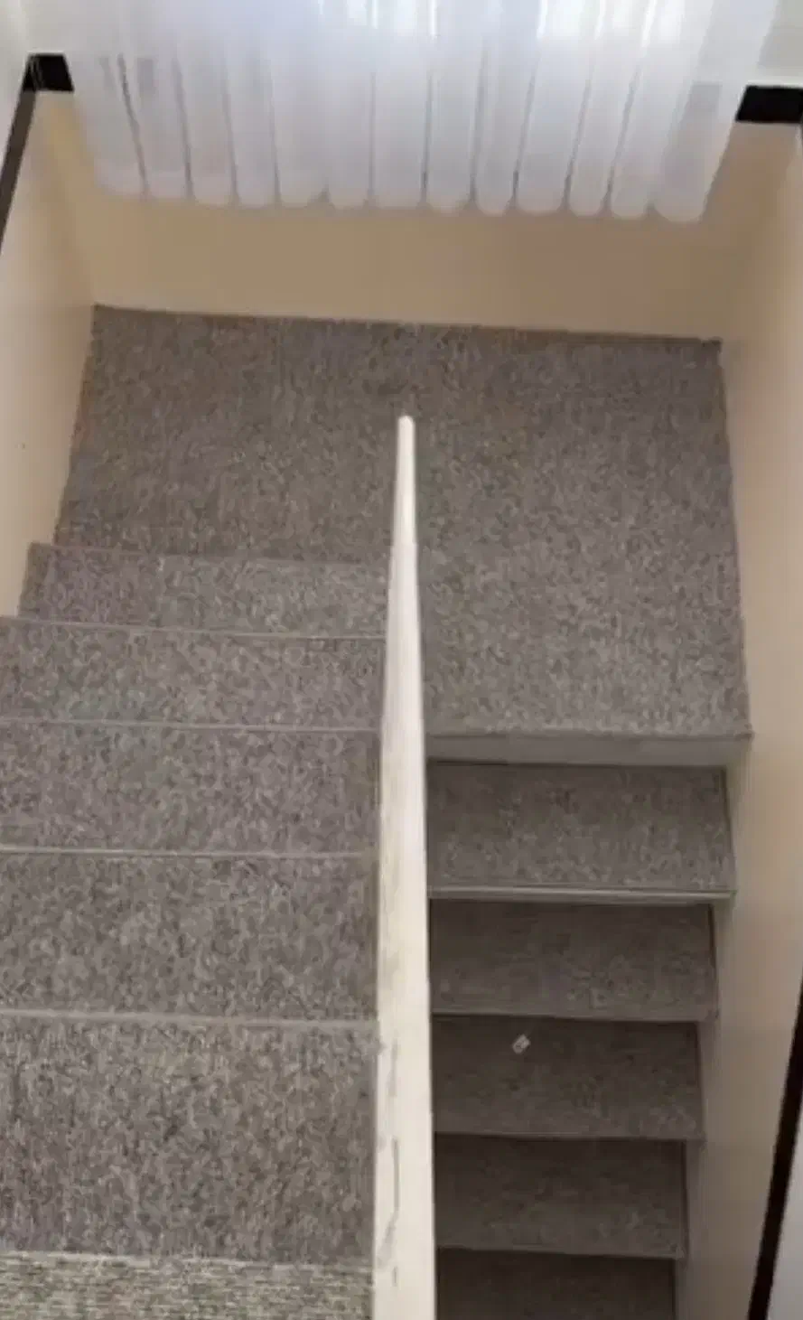 فروش ونصب انواع موکت|موکت|یزد, |دیوار