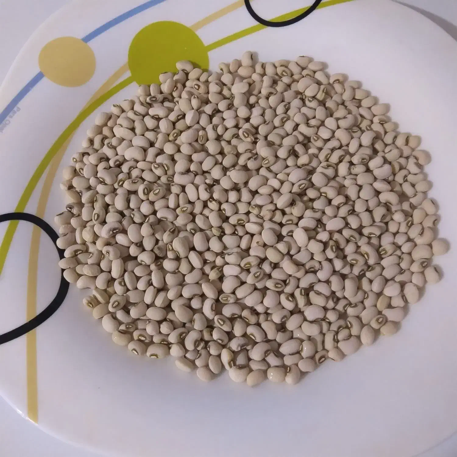 ماش درجه یک|خوردنی و آشامیدنی|مشگین شهر, |دیوار