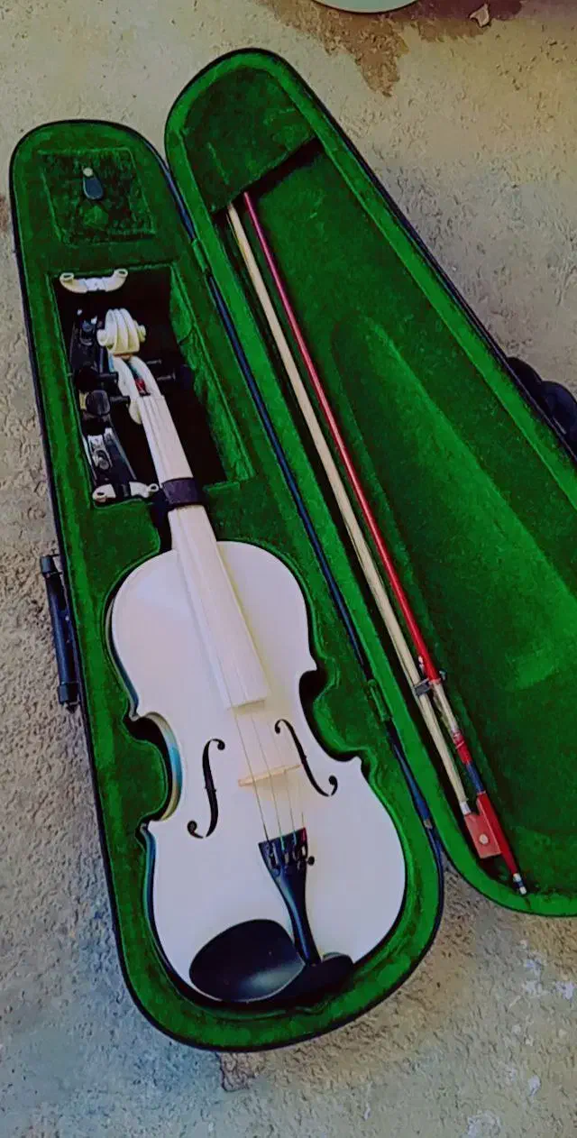 ویولن نیمه حرفه ای mavis mv|ویولن|تهران, شهرک غرب|دیوار
