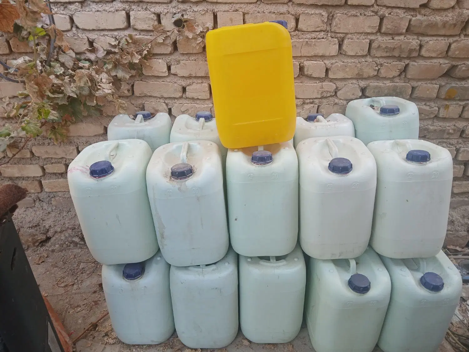 20لیتری|ظروف نگهدارنده، پلاستیکی، یکبارمصرف|داراب, |دیوار