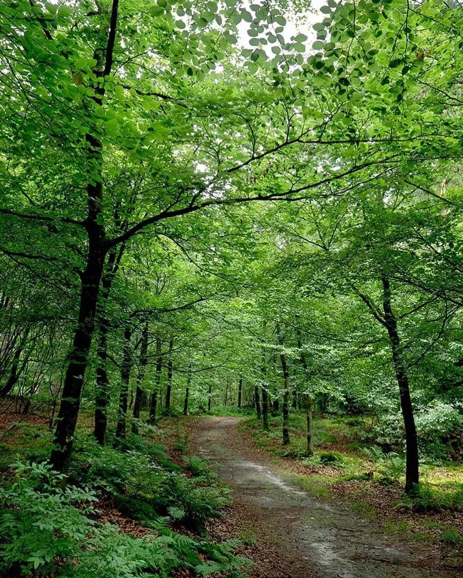 راهنمایی|فعالیت داوطلبانه|بیرجند, |دیوار