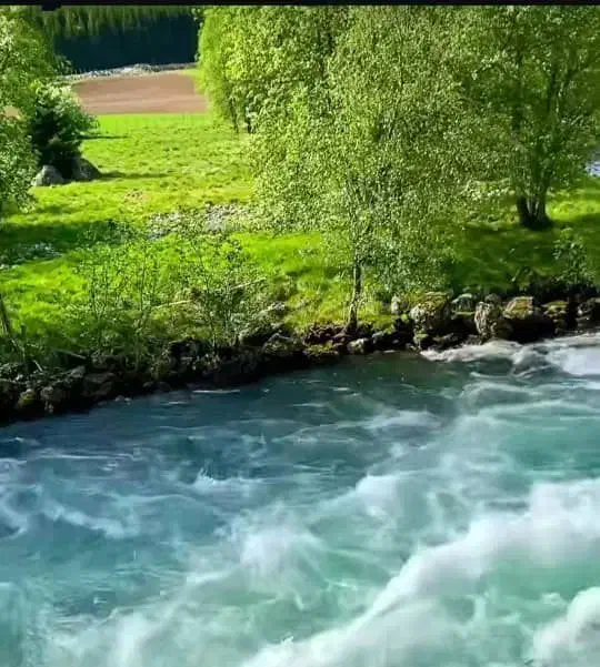 ۳۶۳ متر زمین چهار دیواری در مهراباد رودهن|فروش زمین و ملک کلنگی|تهران, تهرانپارس غربی|دیوار